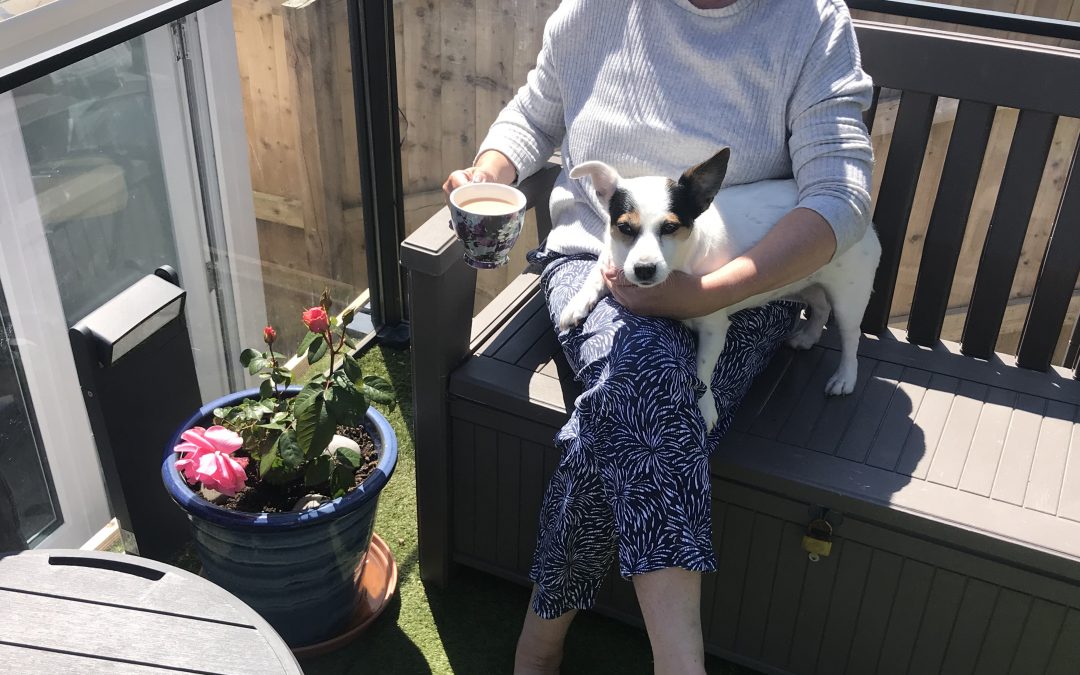 Dog sat on a ladies lap in the garden with a cup of tea