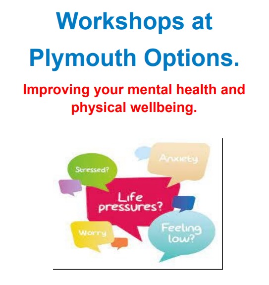 Plymouth Options leaflet